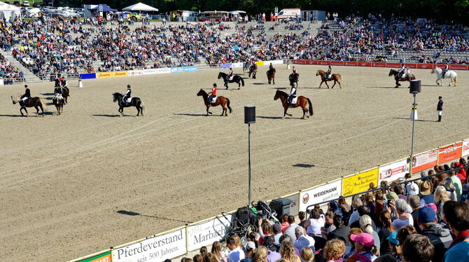 Die Zahl der Besucher musste pandemiebedingt eingeschränkt werden. Die Organisatoren waren dennoch zufrieden. FOTO: NIETHAMMER Die Zahl der Besucher musste pandemiebedingt eingeschränkt werden. Die Organisatoren waren dennoch zufrieden. FOTO: NIETHAMMER