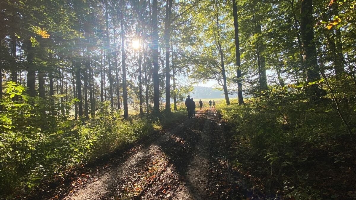 Stöcklescup, Trochtelfingen