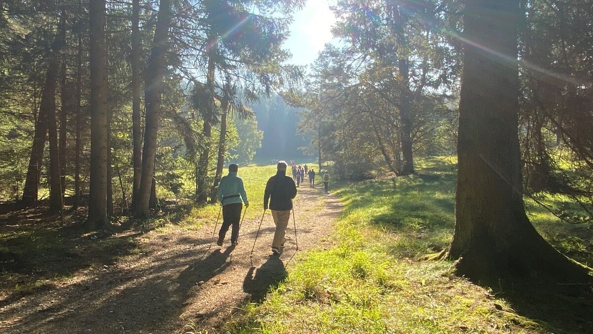 iStöcklescup, Trochtelfingen