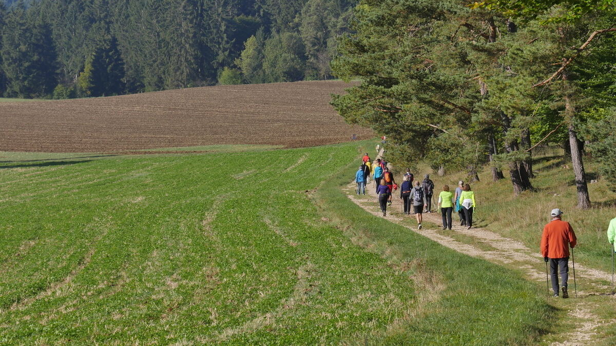 Stöcklescup, Trochtelfingen