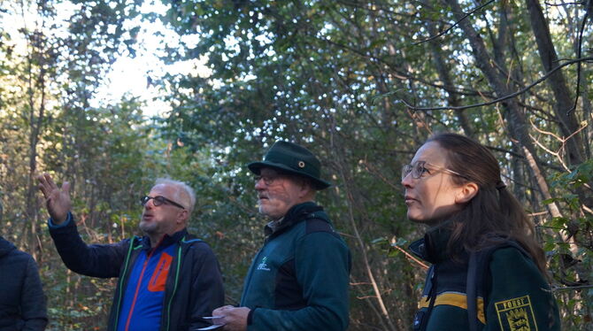 Bürgermeister Holger Jerg (von links), Elmar Molnar und Juliane Spiegelhalter vor einem der ausgewählten Waldbilder.  FOTO: WURS