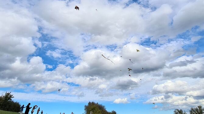 Buntes Treiben: Zahlreiche Drachen schwebten über den Kuhbuckel.