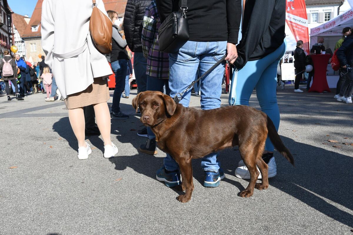 sicherheitstag_reutlingen_2021_12