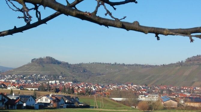Blick von der Hardtsiedlung auf Metzingen, Neuhausen, den Weinberg und den Hofbühl.