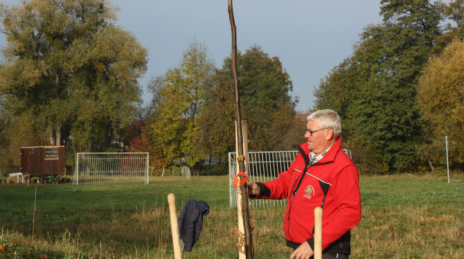 Bei der Baumpflanzaktion der Bürgerstiftung Gomaringen setzt Günther Letz einen Tulpenbaum auf dem freien Gelände beim Bolzplatz