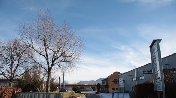 Das Hoeckle-Areal in Mössingen wird zu einem neuen Stadtteil umgeformt. Es gibt einen Siegerentwurf, der jetzt mit kleinen Änder