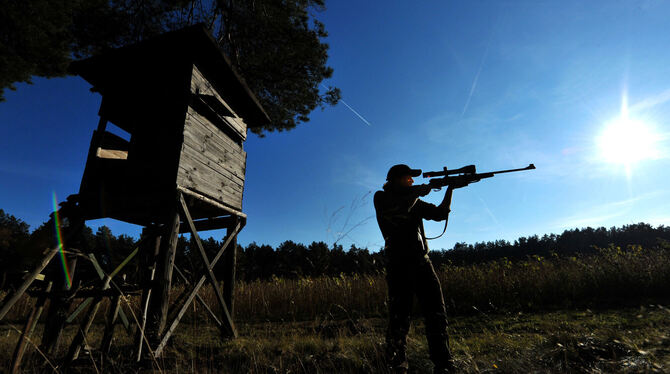 Jägerin mit Gewehr im Wald: Um einen gesunden Wildbestand zu erhalten, gibt es gesetzliche Abschussvorgaben.  FOTO: SCHULZE/DPA