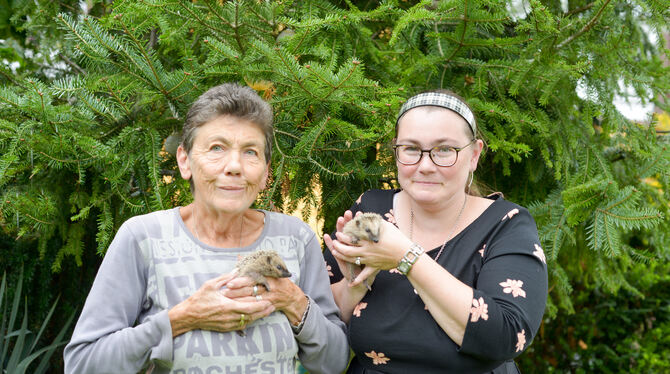 Christel Reusch mit ihrer Tochter Melanie Bauer – und zwei Schützlingen. FOTOS: VEREIN