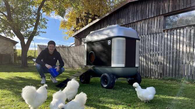 An einem sonnigen Herbsttag freuen sich Jan Kaupas Zwergseidenhühner nicht nur an Körnern, sondern auch an heruntergefallenen Wa