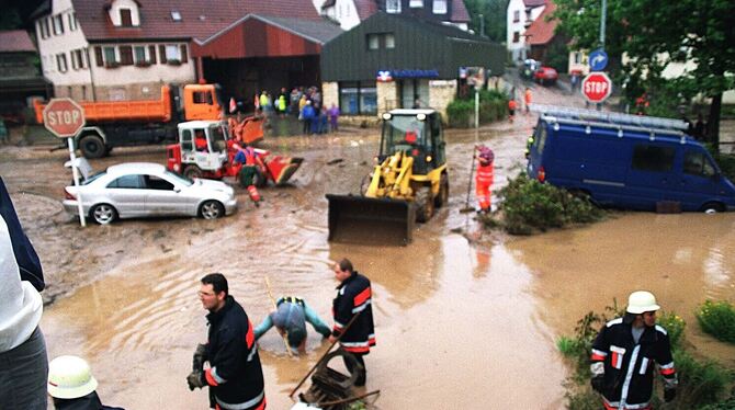Das Hochwasser im Sommer 2002 war für Altenburg verheerend. Mittlerweile ist die Nordraumgemeinde in Sachen Hochwasserschutz deu