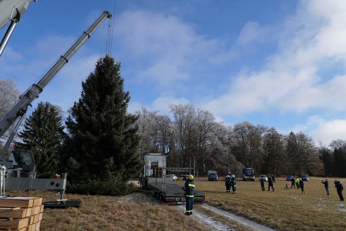 11_21_Weihnachtsbaum_22 (1)