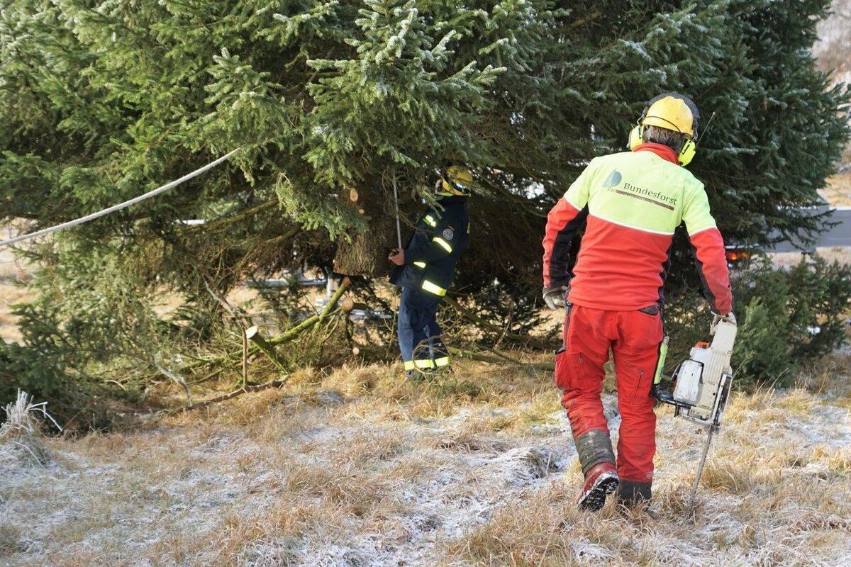 11_21_Weihnachtsbaum_15 (1)