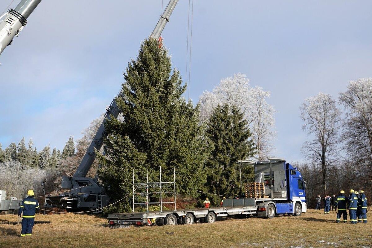 11_21_Weihnachtsbaum_18