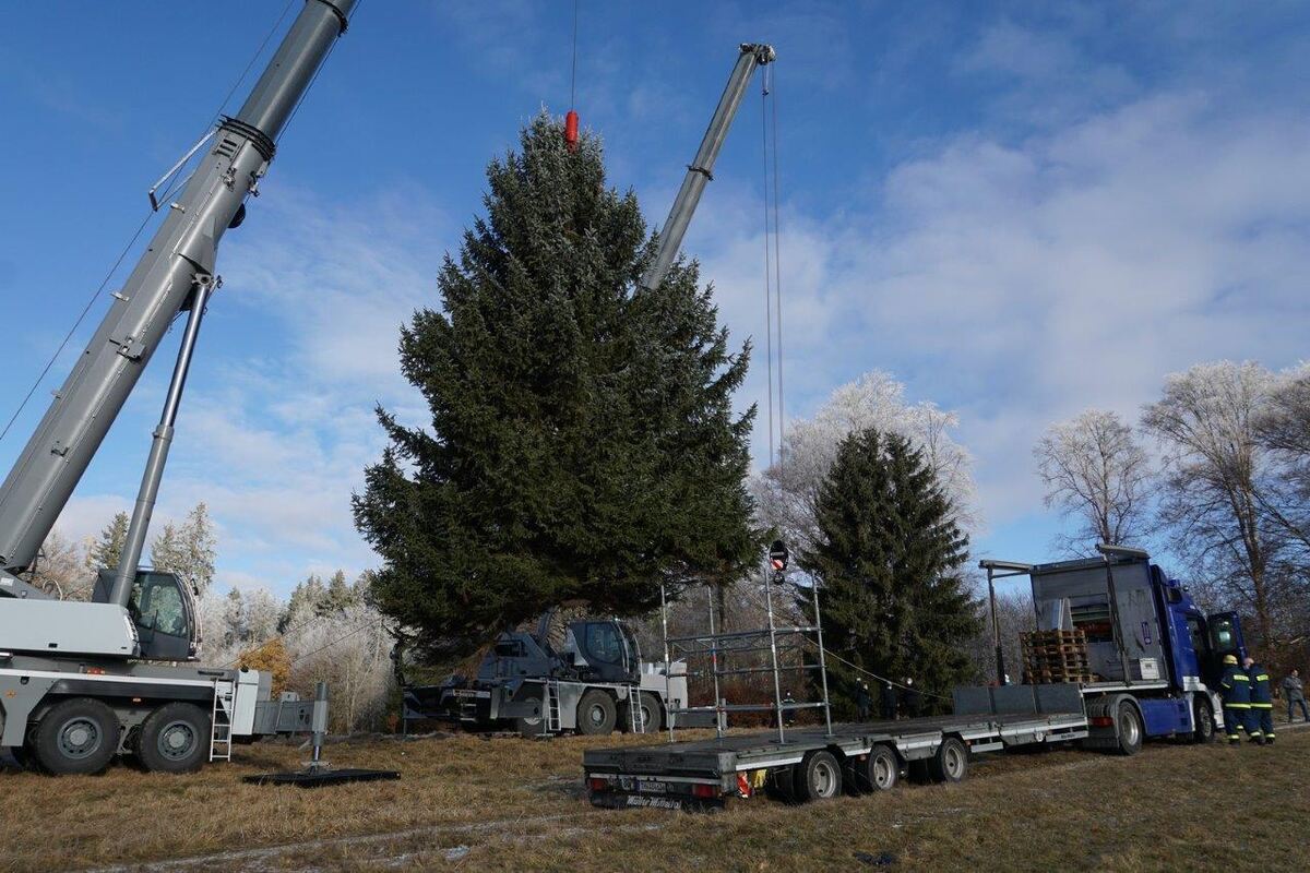 11_21_Weihnachtsbaum_11