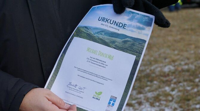 11_21_Weihnachtsbaum_42