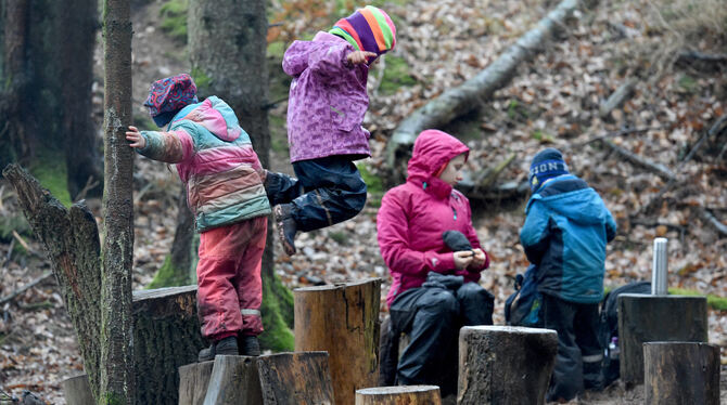 Frisch-Luft-Abenteuer: Naturkindergärten bieten ihren kleinen Besuchern ganz besondere »Spielsachen«. FOTO: DPA/CARSTEN REHDER