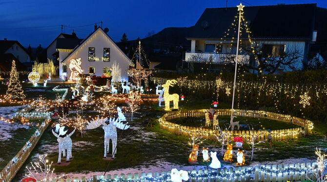 Angefangen hat alles 2014 mit einem weißen, leuchtenden Rentier.