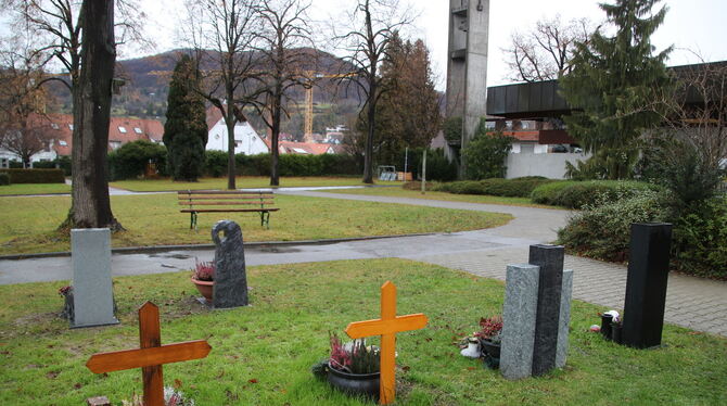 Am Dettinger Friedhof sollen künftig Baumgräber zugelassen werden. Die Verwaltung soll ein Konzept erarbeiten. FOTO: OECHSNER Am Dettinger Friedhof sollen künftig Baumgräber zugelassen werden. Die Verwaltung soll ein Konzept erarbeiten. FOTO: OECHSNER