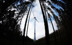 Das Land will mehr Windkraft im Staatswald.  FOTO: OLIVER BERG/DPA