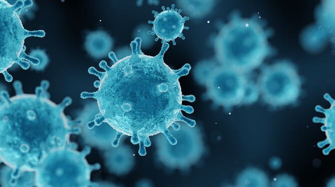 In der Region gibt es viele Unternehmen, die neue Produkte entwickeln, um die Pandemie zurückzudrängen.