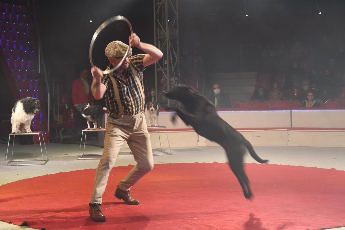 weihnachtscircus_reutlingen_2021_zen_2