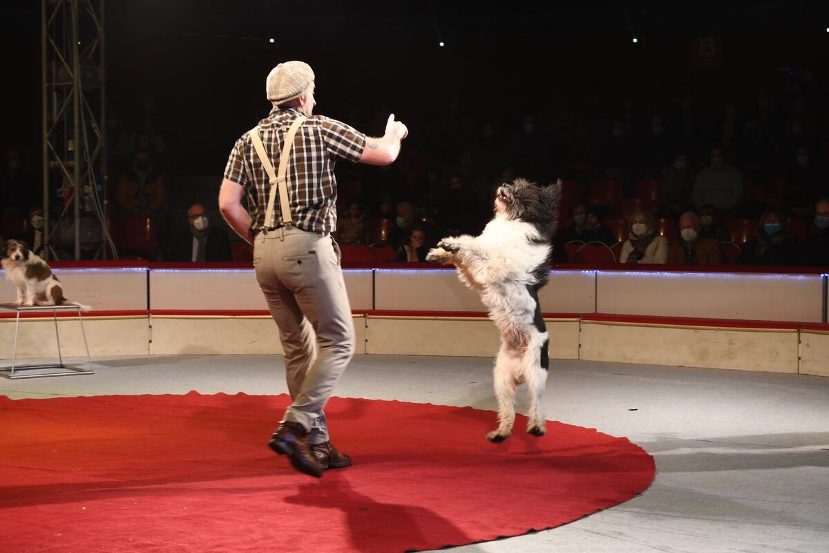 weihnachtscircus_reutlingen_2021_zen_3