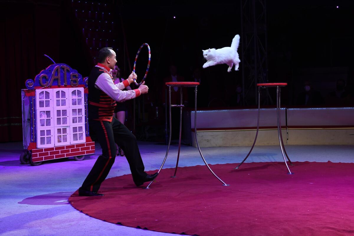 weihnachtscircus_reutlingen_2021_zen_8