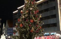 Der Weihnachtsbaum auf dem Reutlinger Marktplatz.