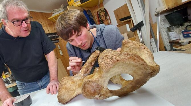 In der Werkstatt von Wolfgang und Thomas Lechner in Trostberg kommt das Skelett des Höhlenbären auf den OP-Tisch. Hier arbeiten