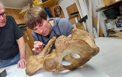 In der Werkstatt von Wolfgang und Thomas Lechner in Trostberg kommt das Skelett des Höhlenbären auf den OP-Tisch. Hier arbeiten 