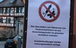 Keine Kracher und Raketen im Gomaringer Schlosshof.  FOTO: FÖRDER