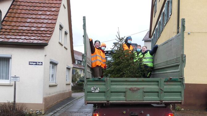 Mit dem Traktor und großem Anhänger waren die CVJMler unterwegs, um in Walddorfhäslach die abgeschmückten Weihnachtsbäume im Auf