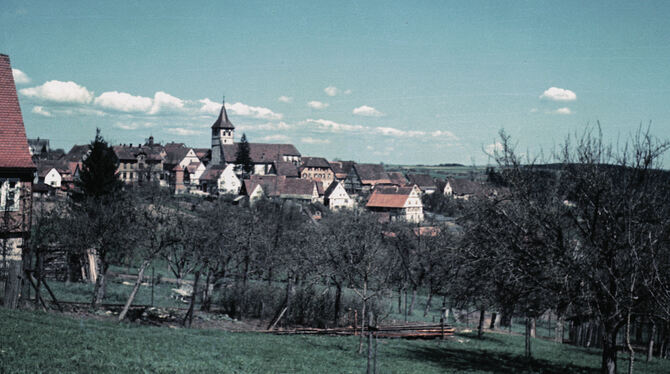 Ob auf dieser Aufnahme – sie datiert aus dem Mai 1950 – tatsächlich die Kreisstadt Horb am Neckar verewigt wurde? Hinweise erbet