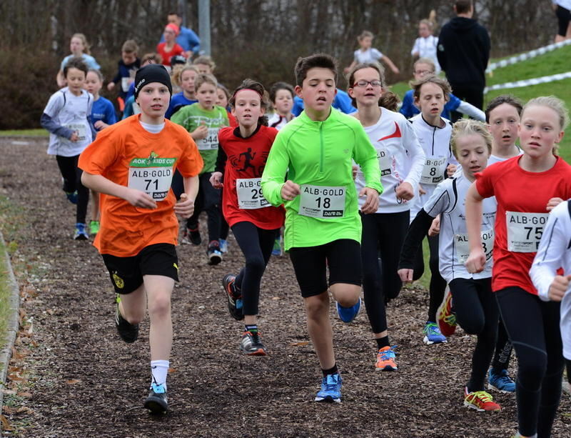 Alb-Gold Winterlaufcup Reutlingen 10. Januar 2015