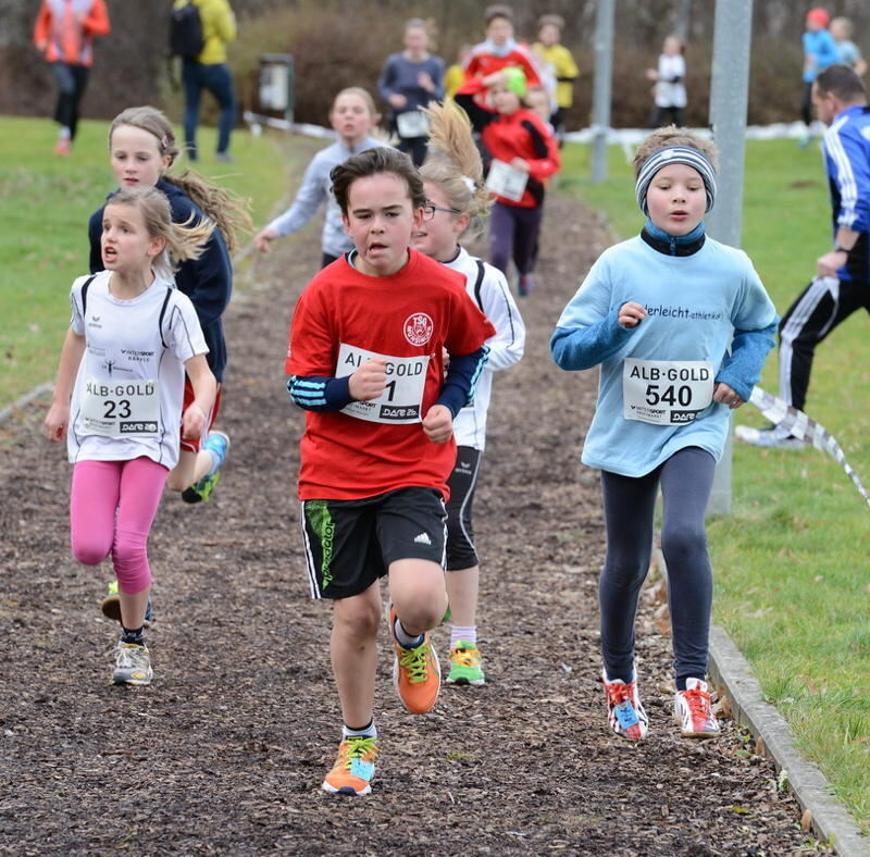Alb-Gold Winterlaufcup Reutlingen 10. Januar 2015