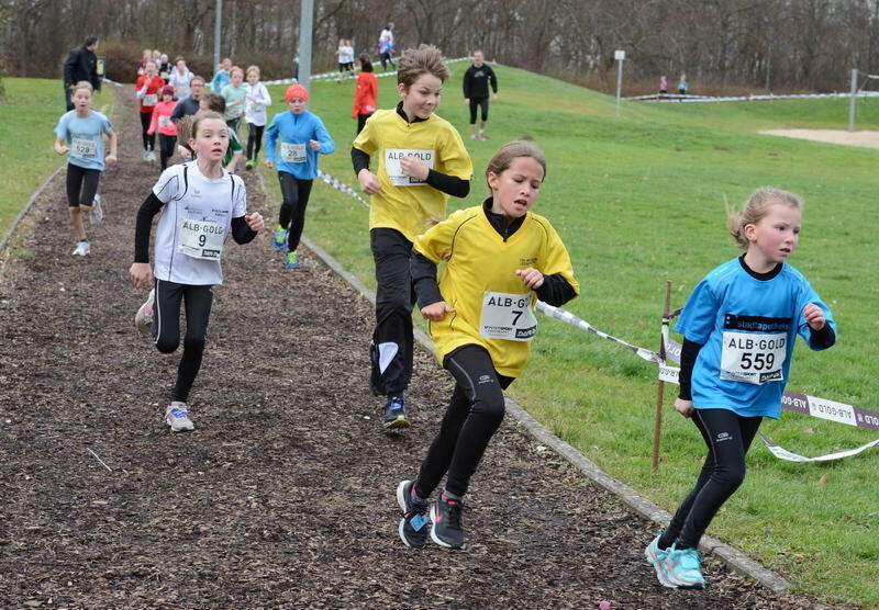 Alb-Gold Winterlaufcup Reutlingen 10. Januar 2015