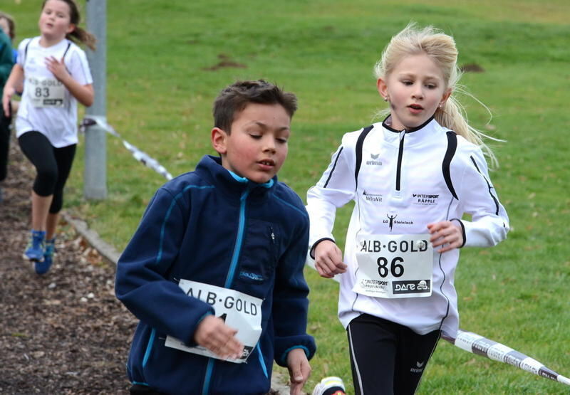 Alb-Gold Winterlaufcup Reutlingen 10. Januar 2015