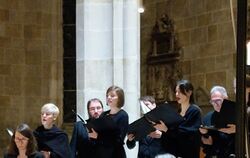 Das Ensemble Cantus Imperitus in der Tübinger Stiftskirche.  FOTO: BÖHM