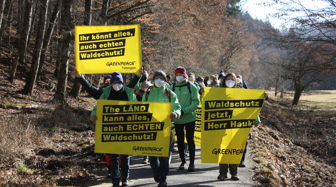 Für ihre Demo gegen Holzeinschlag gingen Greenpeace-Aktivisten am Samstag zum Ort des Geschehens: in den Wald. FOTO: STURM