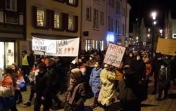Corona-Demonstration Reutlingen Fenruar 2022