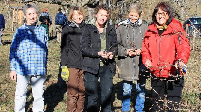 Auch Frauengruppen wird es beim Schnittkurs des Obst- und Gartenbauvereins Lichtenstein wieder geben.  FOTO: VEREIN