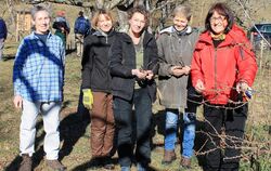 Auch Frauengruppen wird es beim Schnittkurs des Obst- und Gartenbauvereins Lichtenstein wieder geben.  FOTO: VEREIN