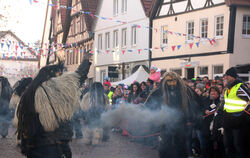 Das Mottles Heer  aus Pfullingen organisiert, dass zehn Zünfte in den Bussen der RSV Schabernack treiben.