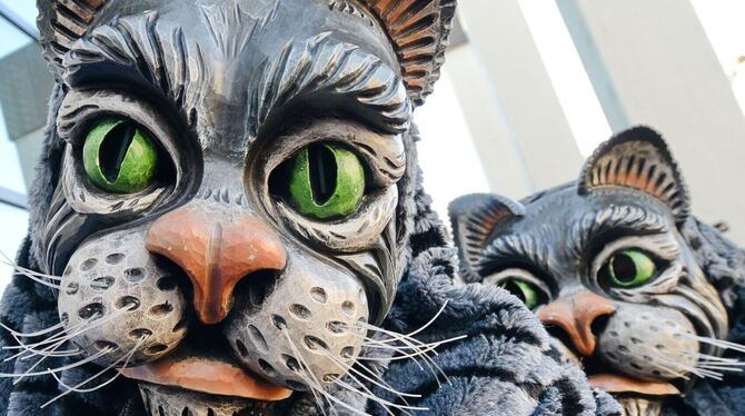 Die Betzinger Mühla-Katza trommeln weitere Zünfte zusammen, die in der unteren Wilhemstraße Bonbons verteilen.