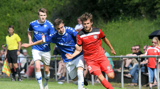 Tom Schiffel (rechts) hat seinen Vertrag beim SSV Reutlingen verlängert. FOTO: BAUR Tom Schiffel (rechts) hat seinen Vertrag beim SSV Reutlingen verlängert. FOTO: BAUR