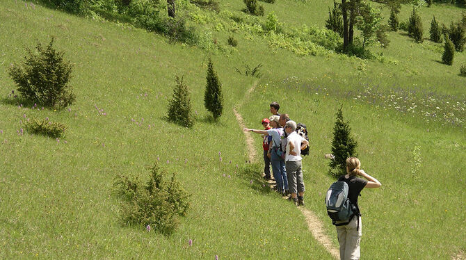Auf Tour mit einem Alb-Guide, zum Beispiel durch die Wacholderheide. FOTO: ARCHIV Auf Tour mit einem Alb-Guide, zum Beispiel durch die Wacholderheide. FOTO: ARCHIV