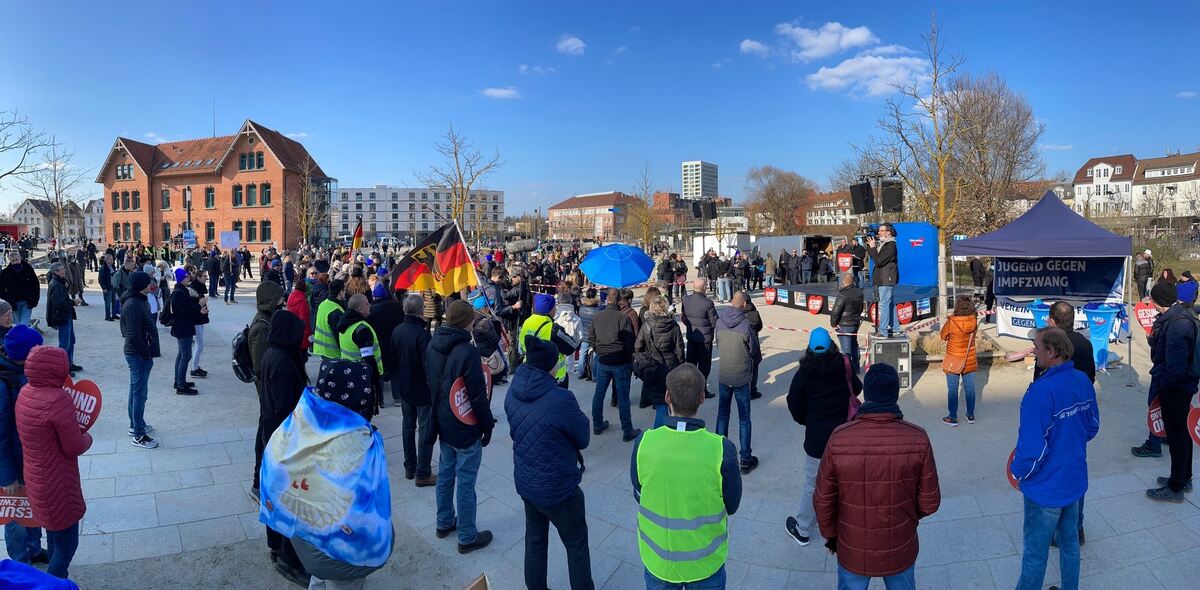 Teilnehmer der AfD-Kundgebung im Reutlinger Bürgerpark.