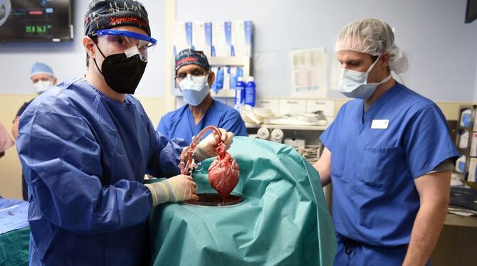 Patient mit transplantiertem Schweineherz