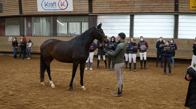 Die Beurteilung von Pferden war eine der Aufgaben, die von den Teilnehmern zu absolvieren waren. Mit möglichst geringer Abweichu Die Beurteilung von Pferden war eine der Aufgaben, die von den Teilnehmern zu absolvieren waren. Mit möglichst geringer Abweichu