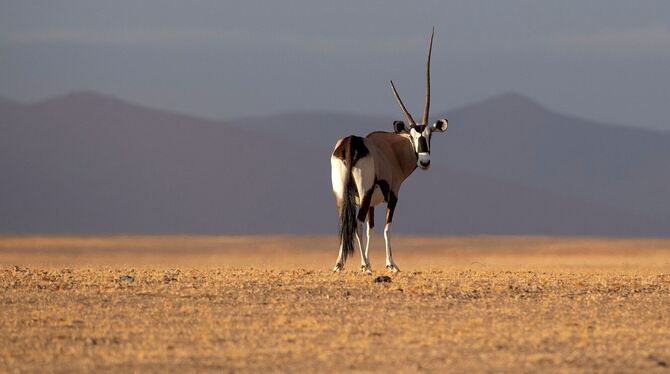 Naturschutz Naturschutz